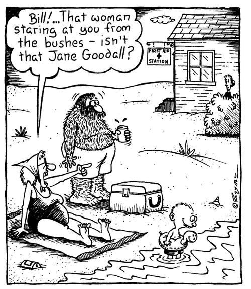"Bill!..That woman staring at you from the bushes, isn't that Jane Goodall"