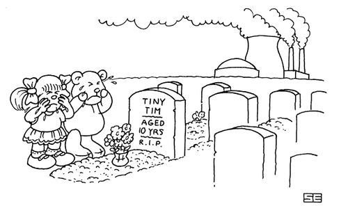 Tiny Tim killed by pollution