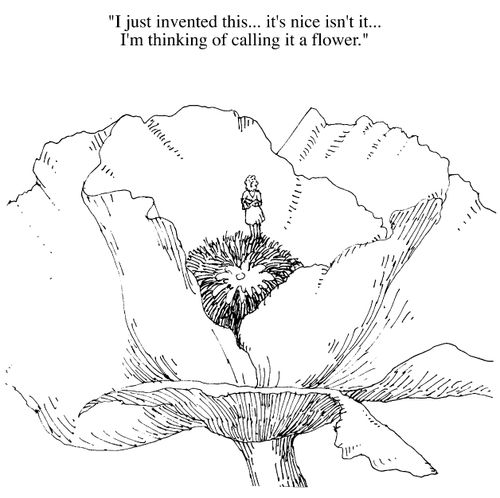 "I just invented it...I'm thinking of calling it a flower"