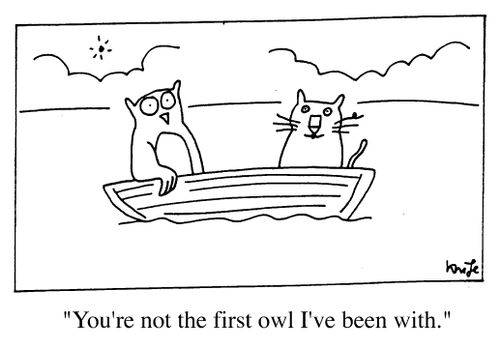 "You're not the first owl I've been with."