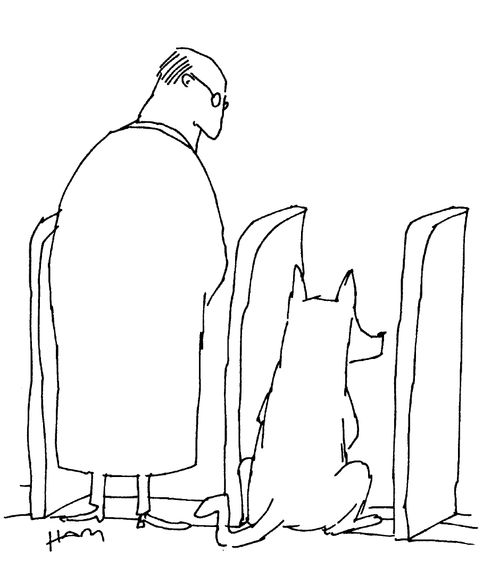 Dog urinal