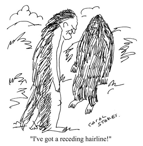 'I've got a receding hairline!'