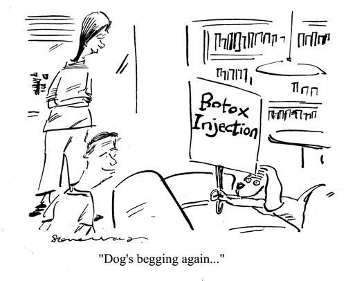'Dog's begging again...'