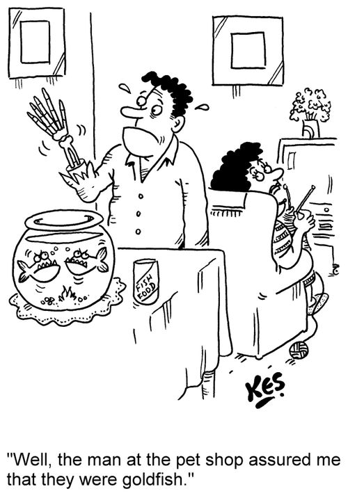 'Well, the man at the pet shop assured me that they were goldfish.'