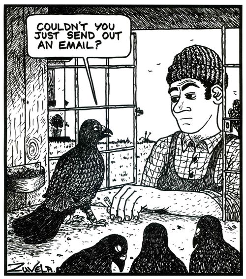 'Couldn't you just send out an Email?' (a messenger pigeon complaining)