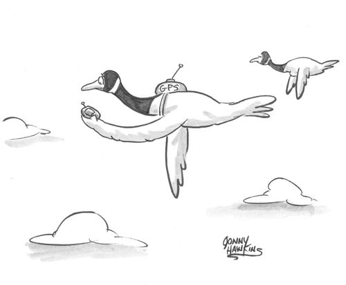 Goose checking his GPS.