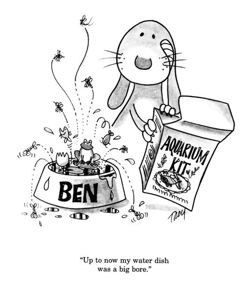 'Up to now my water dish was a big bore.'