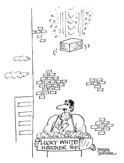Man selling lucky white heather and a brick is about to hit him from above!