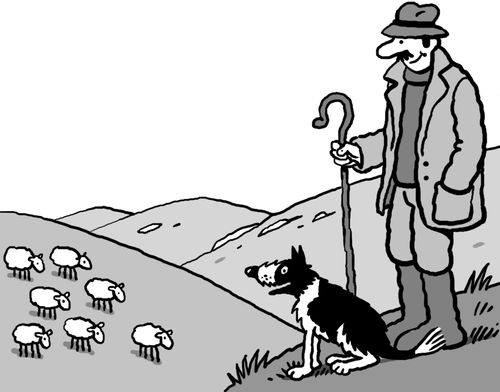 A shepherd with his dog watching over sheep on the moor.