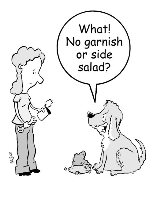 'What! No garnish or side salad?'