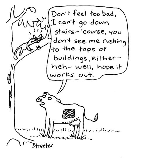 Cow talking to cat up a tree.