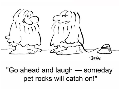'Go ahead and laugh -- someday pet rocks will catch on!'