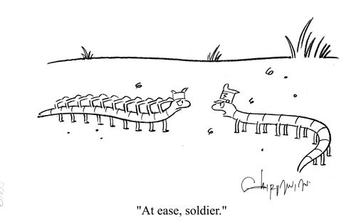 'At ease, soldier.'