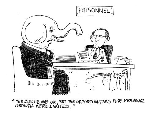 'The circus was okay, but the opportunities for personal growth were limited.'