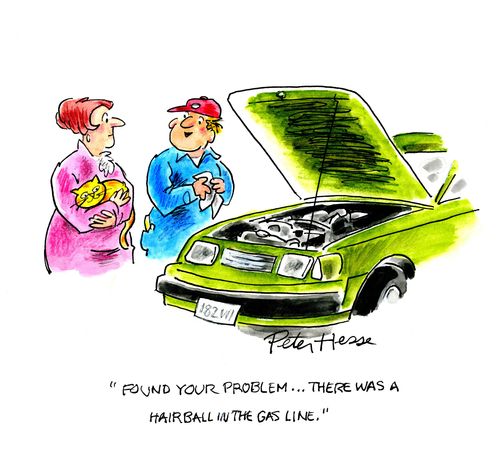 'Found your problem...there was a hairball in the gas line.'