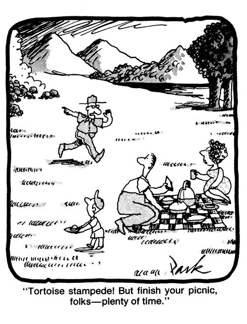 'Tortoise stampede! But finish your picnic, folks - plenty of time.'