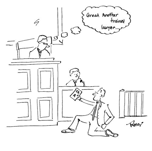 'Great. Another trainee lawyer.'