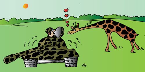 Tank and giraffe romance