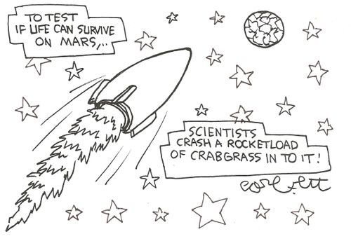 To test if life can survive on Mars...scientists crash a rocket load of crabgrass into it!'