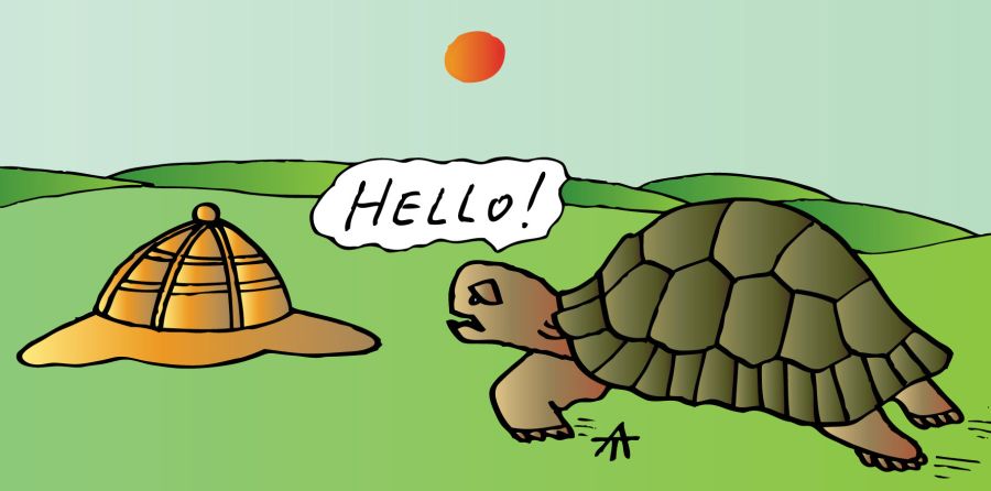 Tortoise Confusion: 'Hello?'