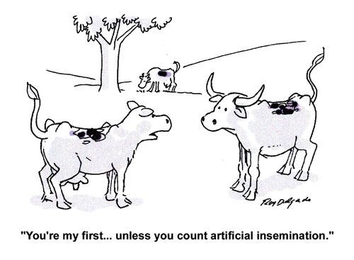 'You're my first...unless you count artificial insemination.'