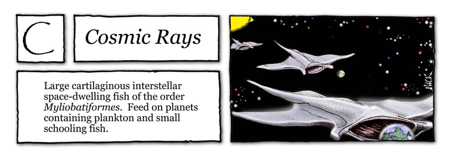 Cosmic Rays: Large cartilaginous interstellar space-dwelling fish of the order Myliobatiformes. Feed on planets containing plankton and small schooling fish.