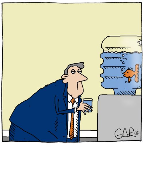 Fish in Water Cooler.
