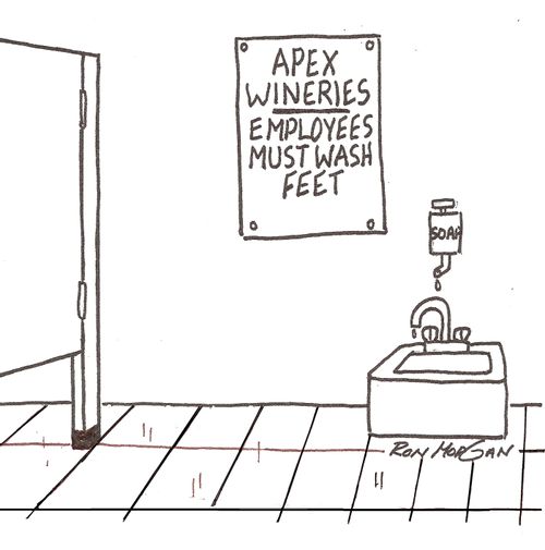 Winery employees must wash feet after rest room use.