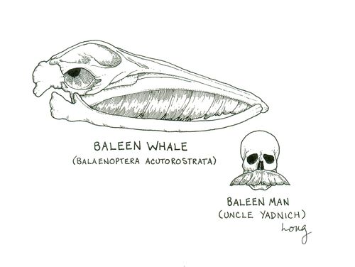 Baleen Whale and Baleen Man.