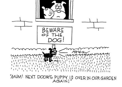 'Mum! Next door's puppy is over in our garden again!'