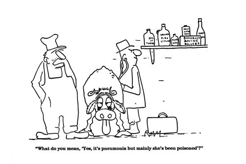 'What do you mean, 'Yes, it's pneumonia but mainly she's been poisoned'?'