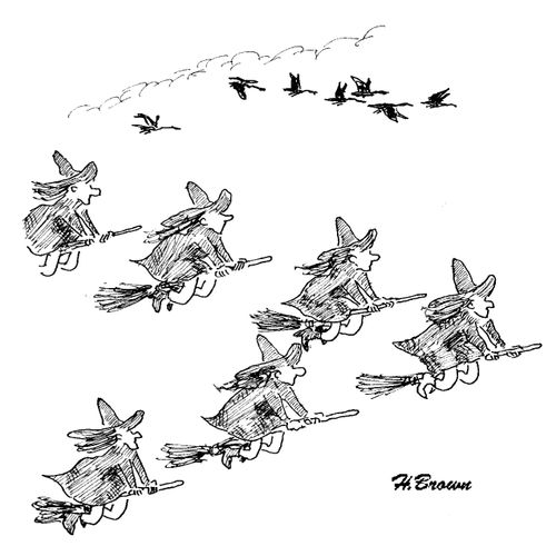 Witches flying south for the winter.