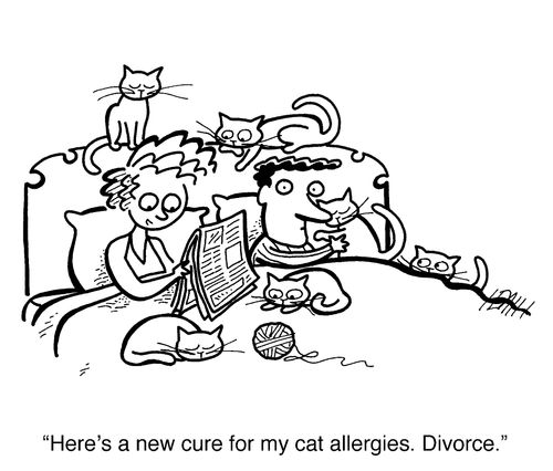 'Here's a new cure for my cat allergies. Divorce.'