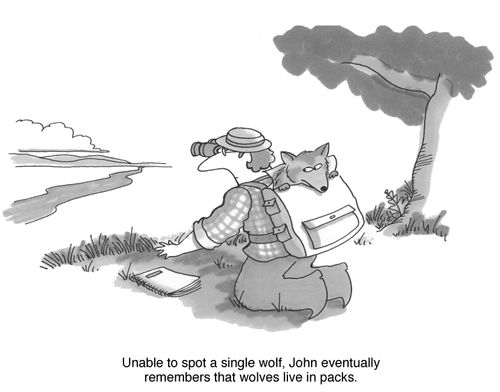 Unable to spot a single wolf, John eventually remembers that wolves live in packs.