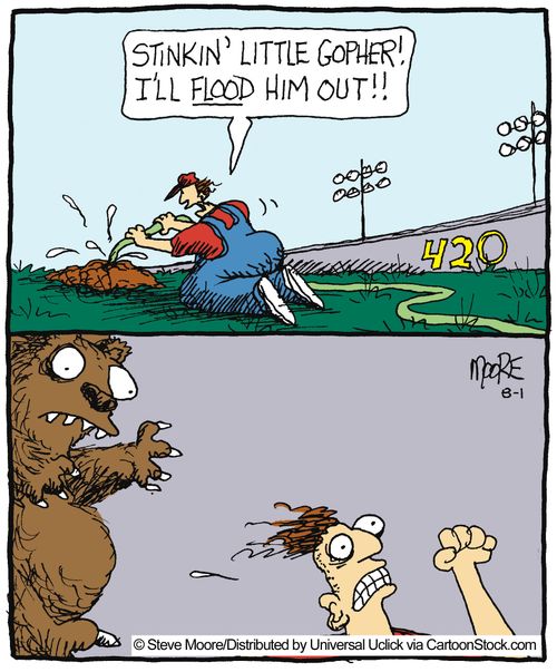 'Stinkin' little gopher! I'll flood him out!!'