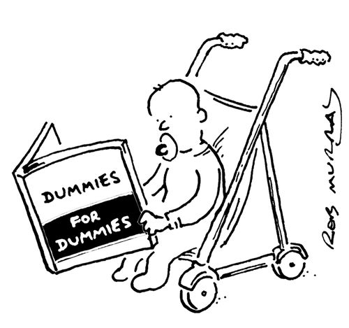 Dummies for Dummies.