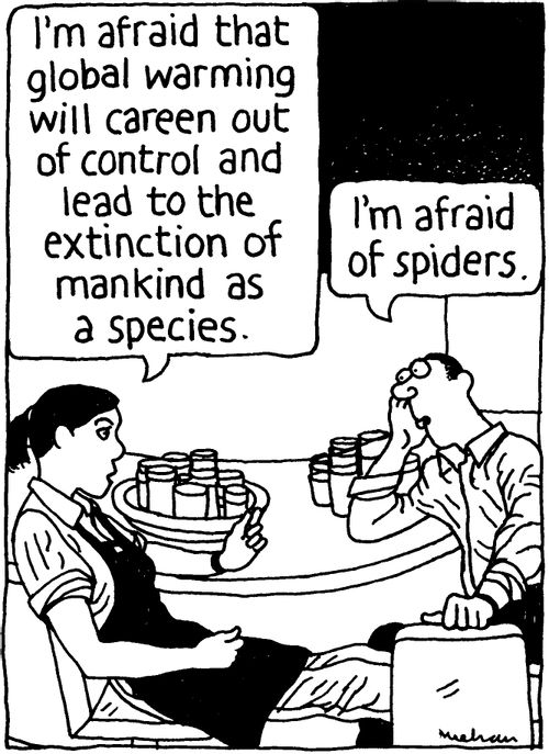 'I'm afraid that global warming will careen out of control and lead to the extinction of mankind as a species.' 'I'm afraid of spiders.'