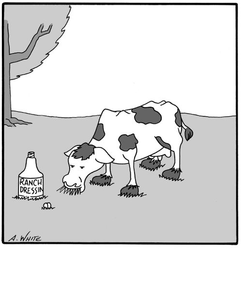 Ranch Dressing