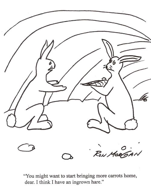 "You might want to start bringing more carrots home, dear. I think I have an ingrown hare."