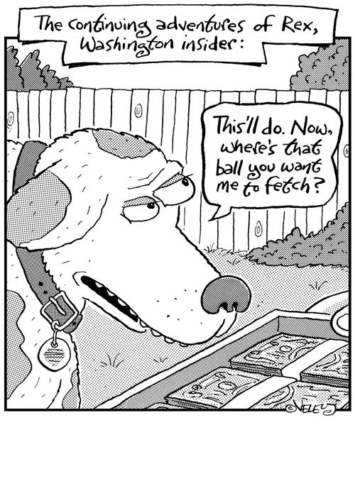 The continuing adventures of Rex, Washington DC insider.