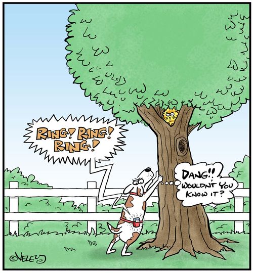 Dog's cell phone rings at inopportune time... 