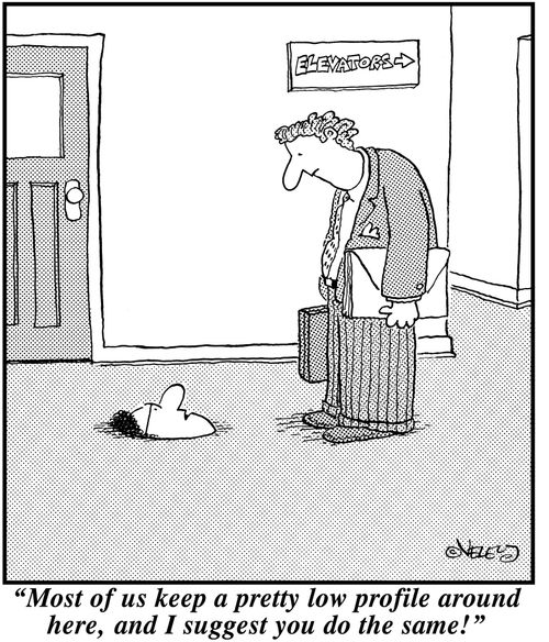 'Most of us keep a pretty low profile around here, and I suggest you do the same!'