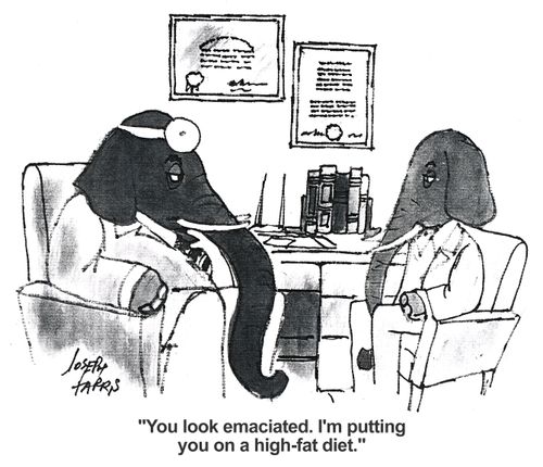 'You look emaciated. I'm putting you on a high-fat diet.'