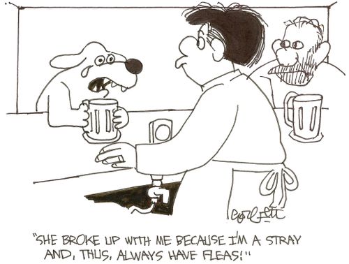 'She broke up  with me because I'm a stray and, thus, always have fleas!'