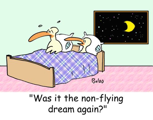 'Was it the non-flying dream again?'