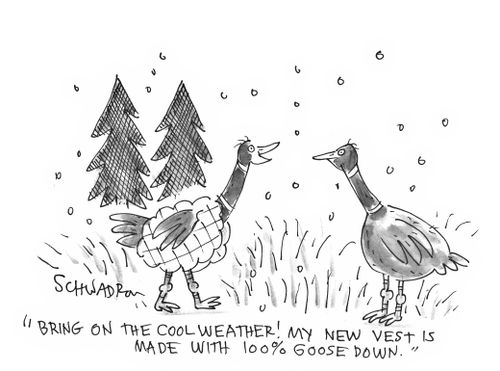 'Bring on the cool weather! My new vest is made with 100% goose down.'
