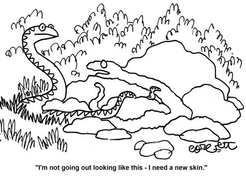 'I'm not going out looking like this -  I need a new skin.'