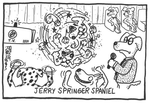 Jerry Springer Spaniel
