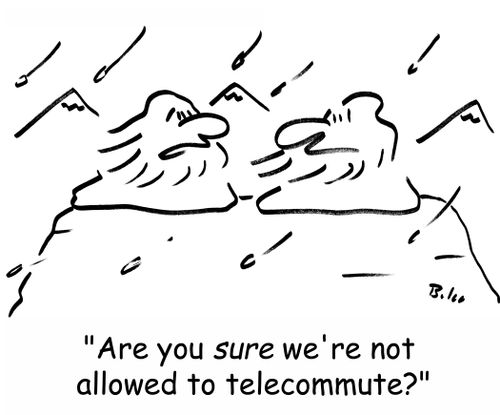 'Are you SURE we're not allowed to telecommute'