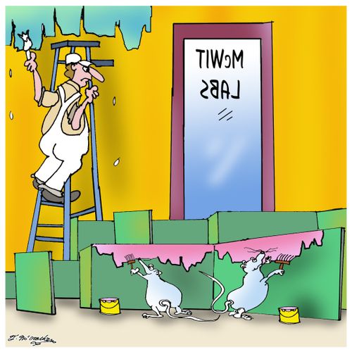 Mice in a lab maze painting their little walls as men paint the walls in a laboratory.